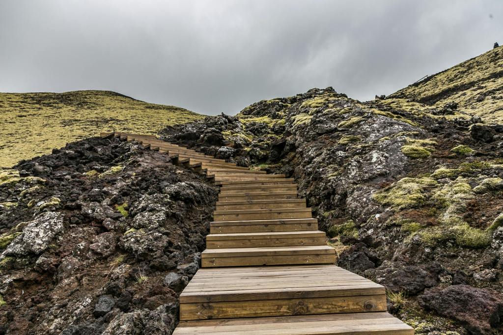 Les étapes pour trouver son&nbsp;Ikigai