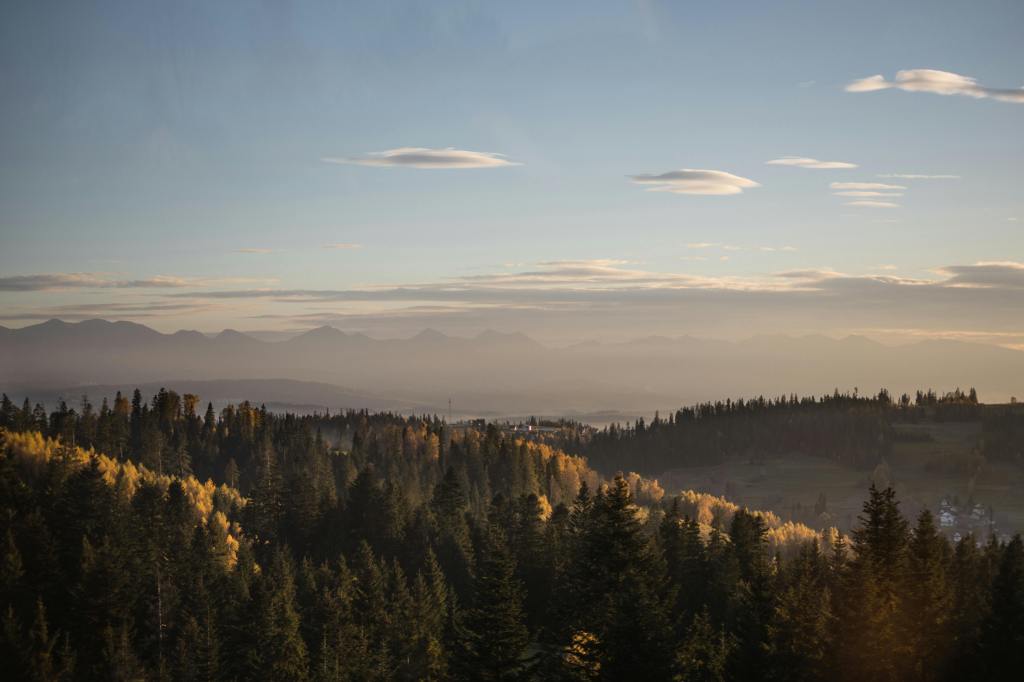 Le bonheur est-il éphémère&nbsp;?