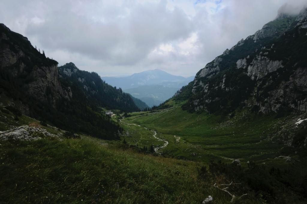 Décoder son propre&nbsp;Ikigai